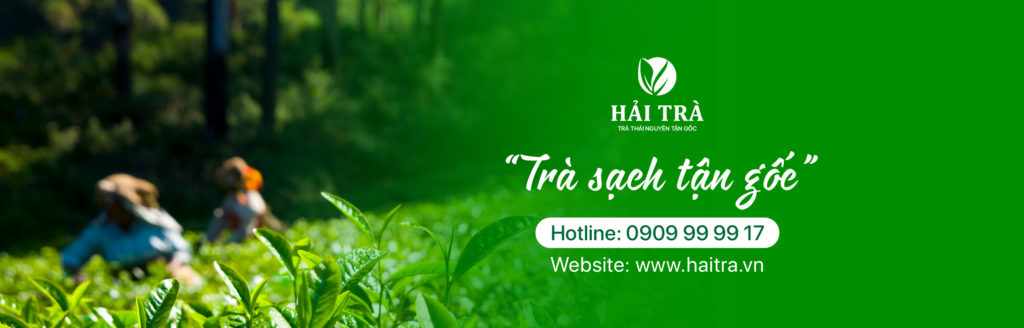 Banner website haitra 1024x328